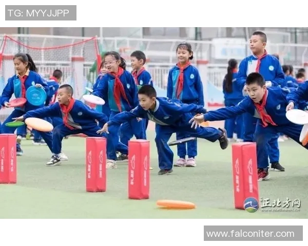 杨敏独家分享飞盘技巧与心得体会助你轻松掌握这项运动的魅力与乐趣